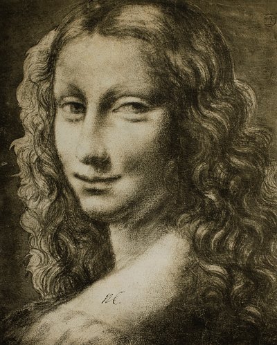 Portrait of a woman from the school of Leonardo by Leonardo da school of Vinci